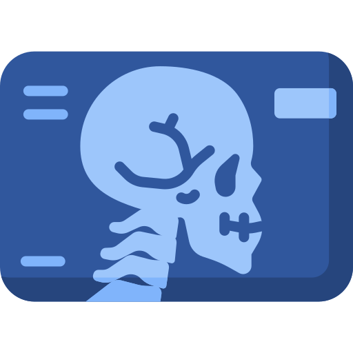 custom-icon
